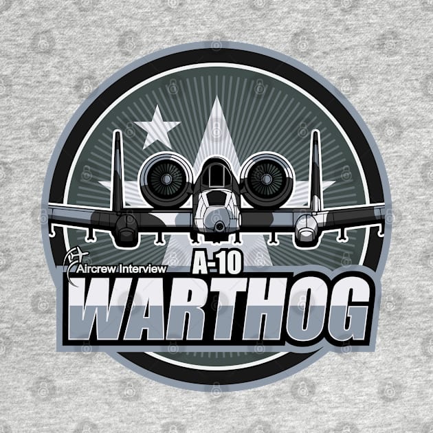 A-10 Warthog by Aircrew Interview